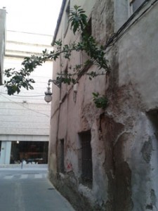 ITE_Orihuela_250x333